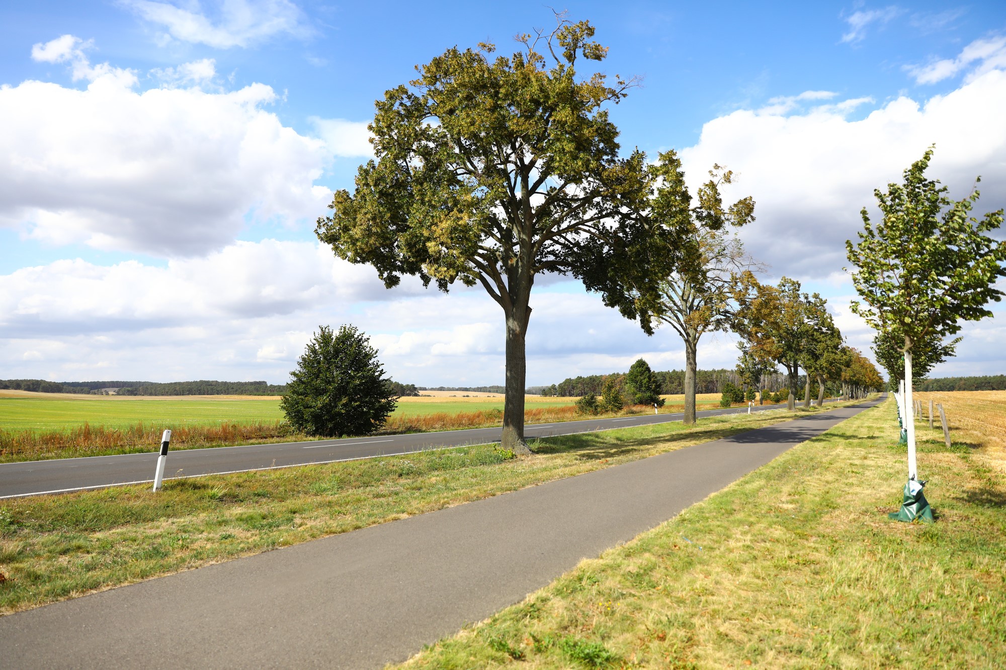 Radwege – Radweg in Bad Belzig