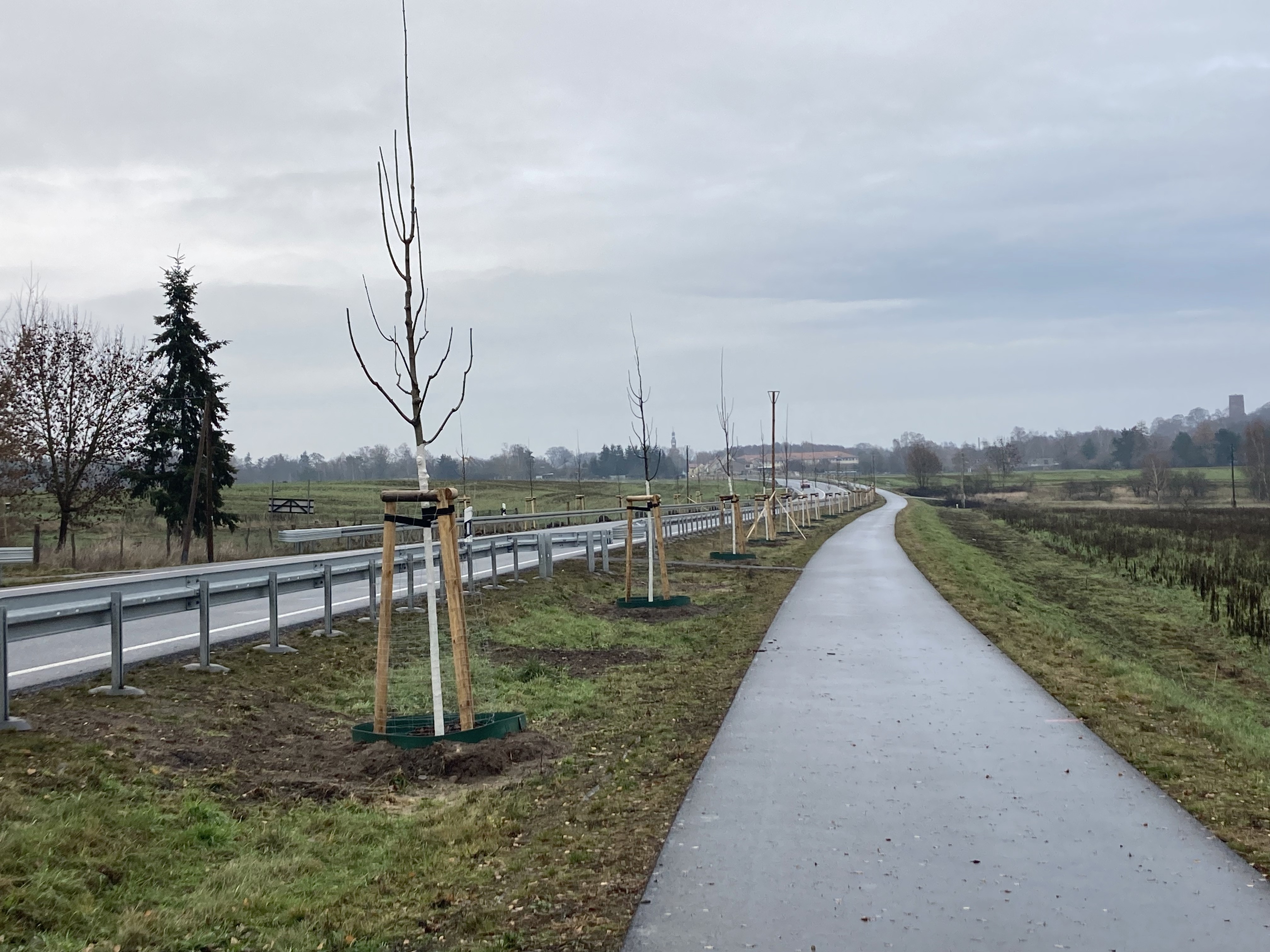 Ausblick auf den Radweg Richtung Bad Belzig, inklusive der neu geflanzten Bäume
