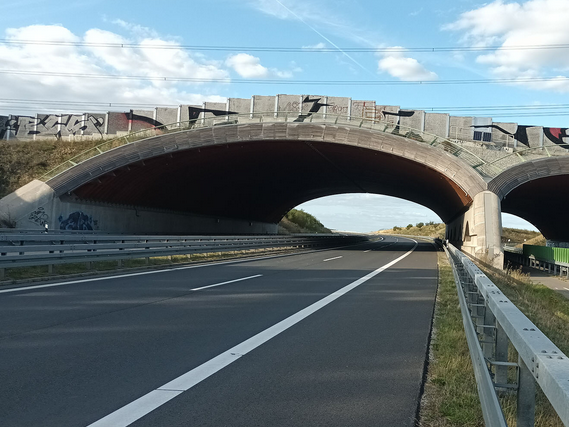 B102 mit angebildeter Grünbrücke