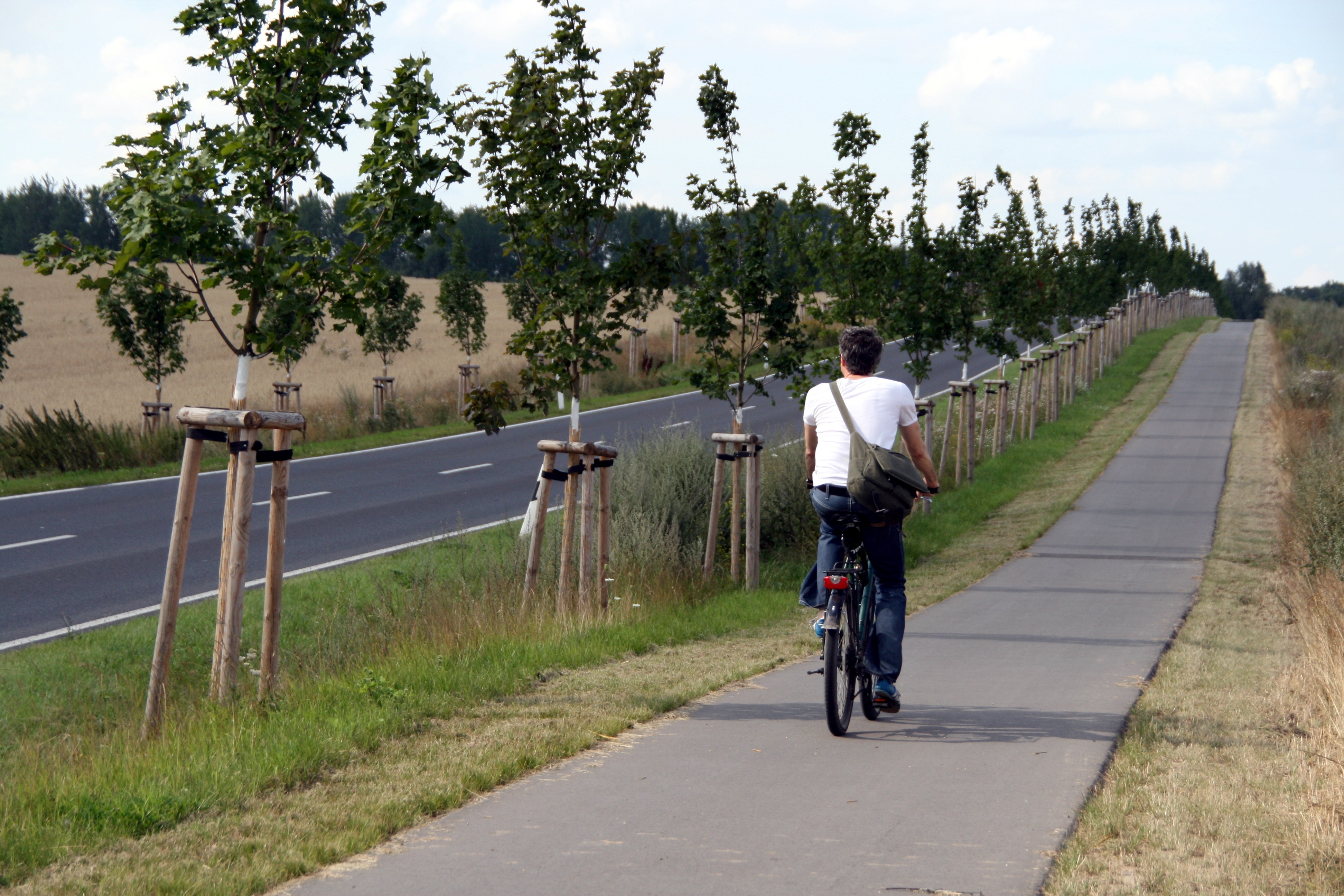 Straßen- und Radwegeplanung - L30 Radweg Seefeld-Krummensee