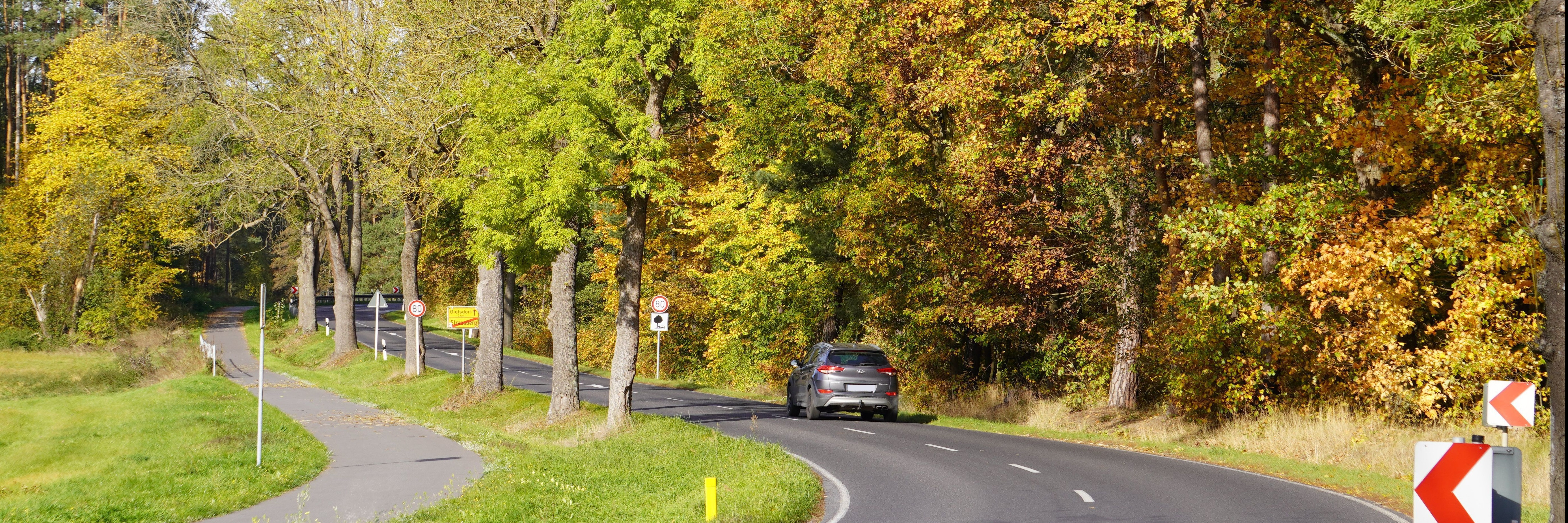 eine nach links geschungene Straße, links daneben, getrennt von einen Grünstreifen, befndet sich ein Radweg. Rechts neben der Straße ist ein Wald zu sehen in bunten Herbstfarben.. Auf der Straße befindet sich ein grauer PKW in Fahrtrichtung.