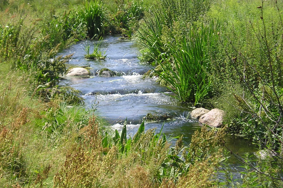 Naturschutz und Landschaftspflege - Ein renaturiertes Fließgewässer