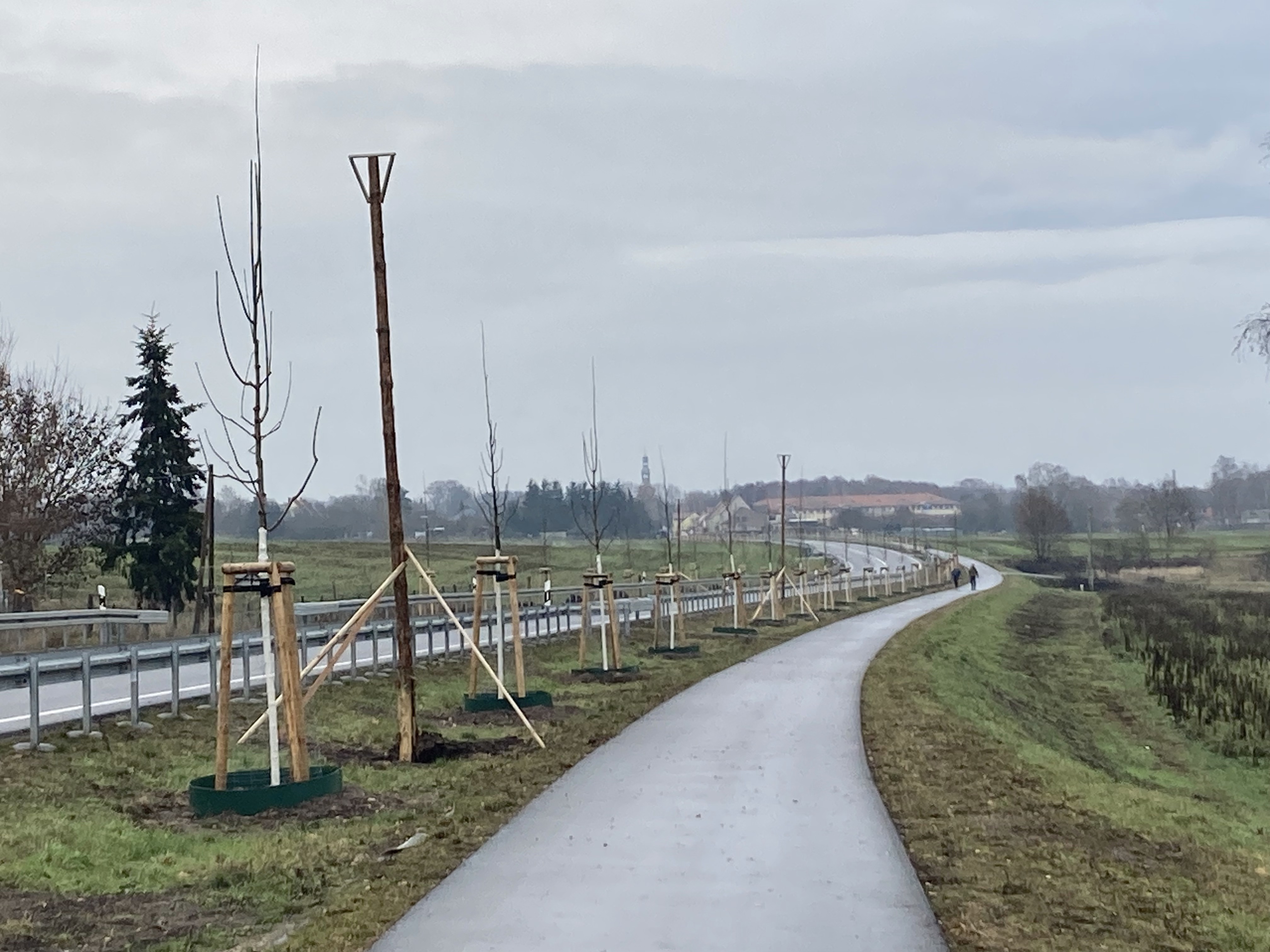 Bild: Straße mit Radweg, zwischen Radweg und Straße neu gepflanzte Bäume und Greifvogelstanden