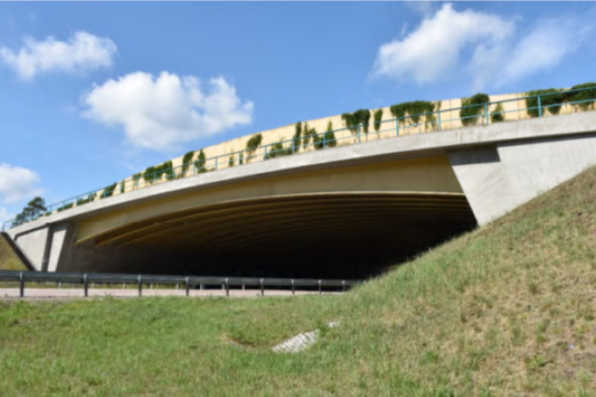 Arten- und Gebietsschutz - Grünbrücke an der A 12 bei Kersdorf