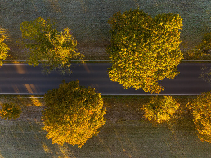 Solarpark Werneuchen, B158