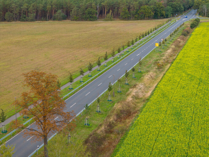 Allee in Mahrzahna Treuenbrietzen, B2