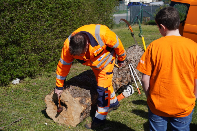 Auf einer Rasenfläche liegt ein cirka 2 Meter langer Baumstamm. Ein Beschäftigter der Straßenmeisterei Rehfelde zeigt einem Schüler die Vermessung des Stammes. Beide sind in orange gekleidet, der Schülerträgtt zudem eine blaue Jeans.. Im Hintergrund siht man eine grüne Hecke.